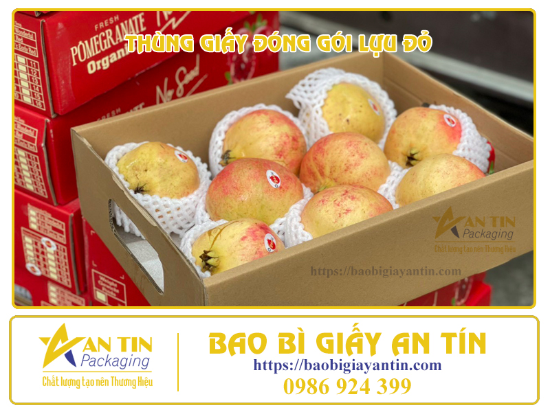 Thùng carton đóng gói lựu An Tín Packaging