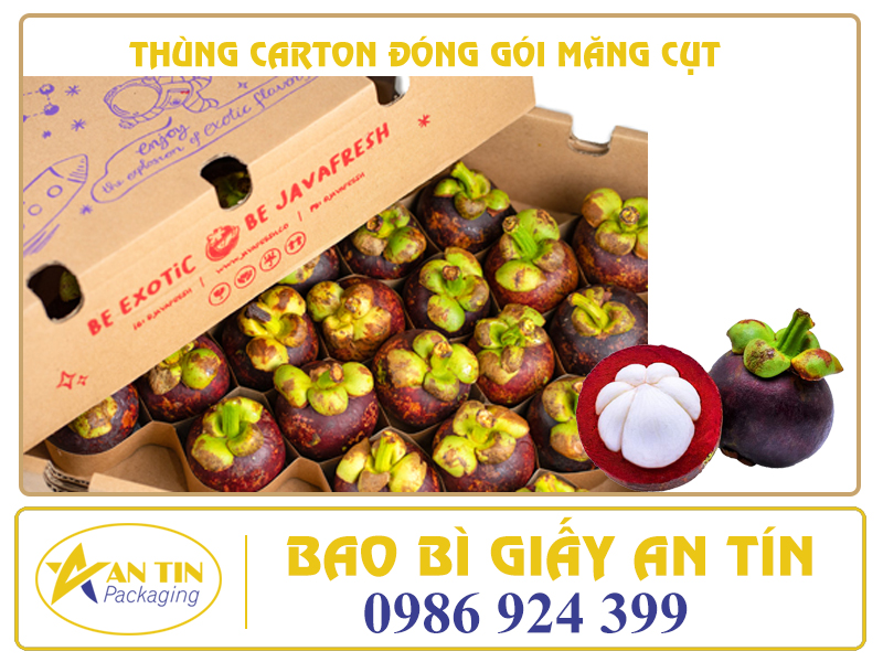 Thùng carton đóng gói măng cục