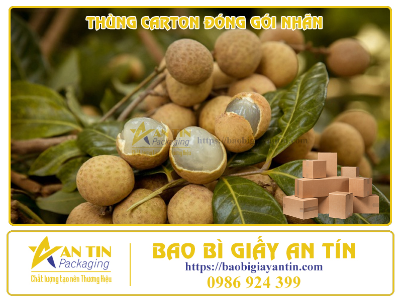 Thùng carton đóng gói nhãn