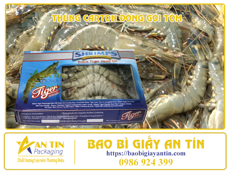 Thùng carton đóng gói tôm An Tín