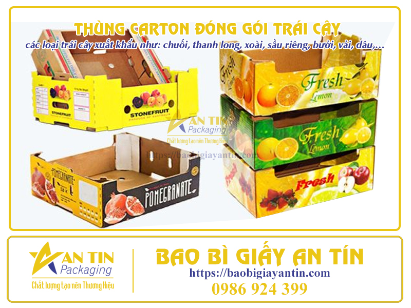 Thùng carton đóng gói trái cây An Tín