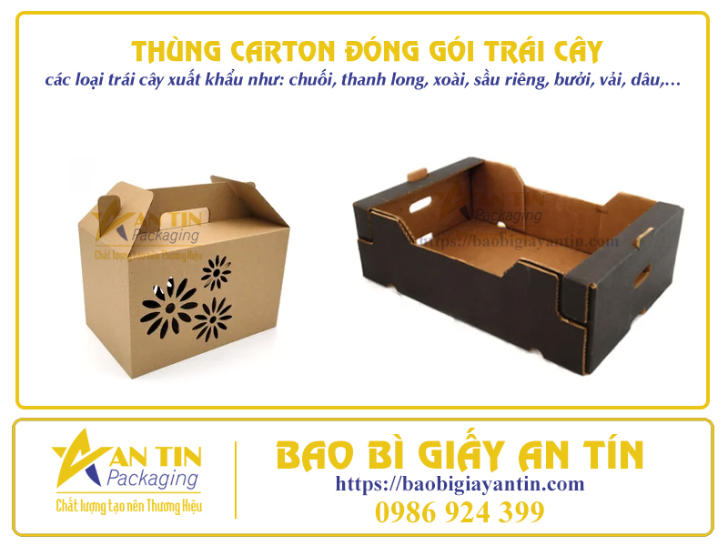 Thùng carton đóng gói trái cây chất lượng