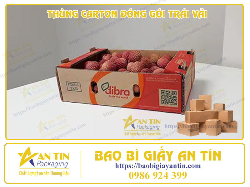 Thùng carton đóng gói trái vải