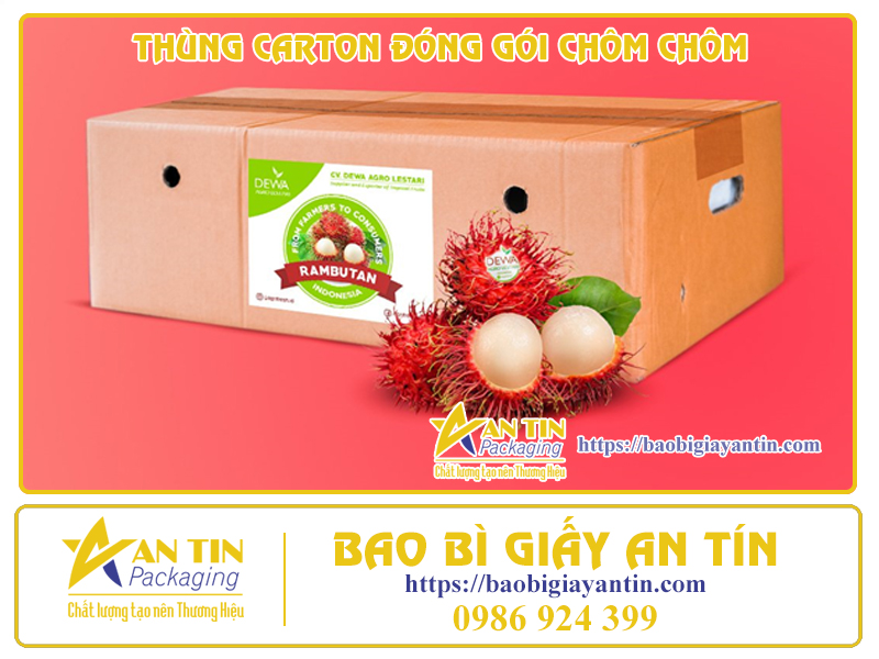 Thùng Carton - Giải Pháp Chất Lượng Cho Việc Đóng Gói Chôm Chôm