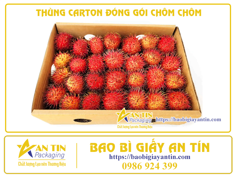 Thùng Carton - Giải Pháp Chất Lượng Cho Việc Đóng Gói Chôm Chôm