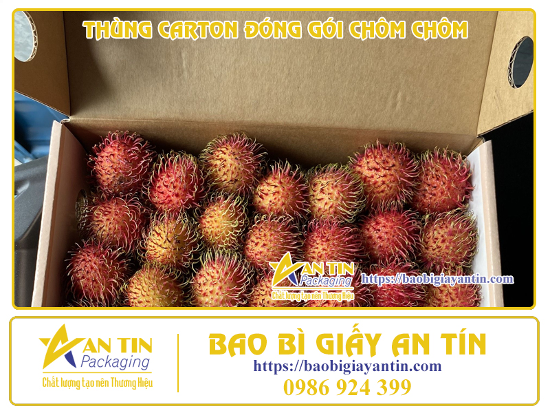 Thùng Carton - Giải Pháp Chất Lượng Cho Việc Đóng Gói Chôm Chôm