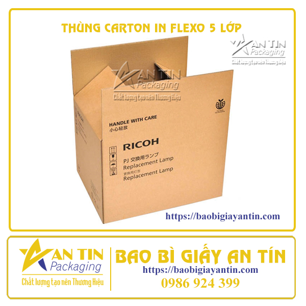 Thùng carton in Flexo 5 Lớp Thùng carton in Flexo 5 Lớp