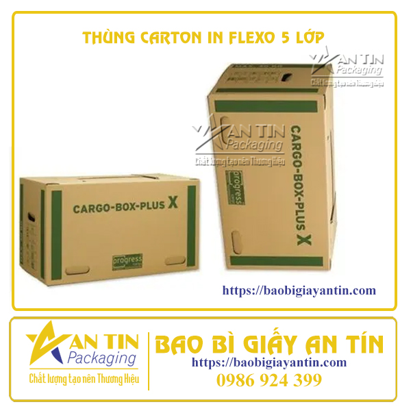 Thùng carton in Flexo 5 Lớp Thùng carton in Flexo 5 Lớp