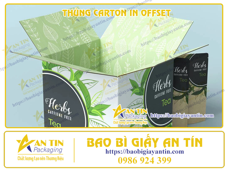 Thùng Carton In Offset - Giải Pháp Đóng Gói Tinh Tế, Chuyên Nghiệp Từ Bao Bì Giấy An Tín