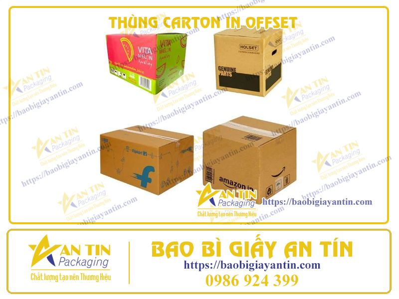 Thùng Carton In Offset - Giải Pháp Đóng Gói Tinh Tế, Chuyên Nghiệp Từ Bao Bì Giấy An Tín