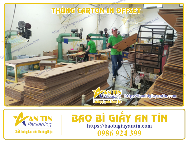 Thùng Carton In Offset - Giải Pháp Đóng Gói Tinh Tế, Chuyên Nghiệp Từ Bao Bì Giấy An Tín