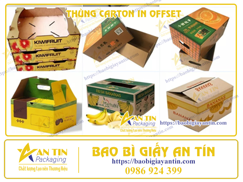 Thùng Carton In Offset - Giải Pháp Đóng Gói Tinh Tế, Chuyên Nghiệp Từ Bao Bì Giấy An Tín