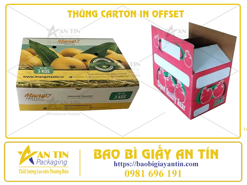 Thùng Carton In Offset Sự Kết Hợp Hoàn Hảo Giữa Độ Bền Và Công Nghệ Mỹ Thuật