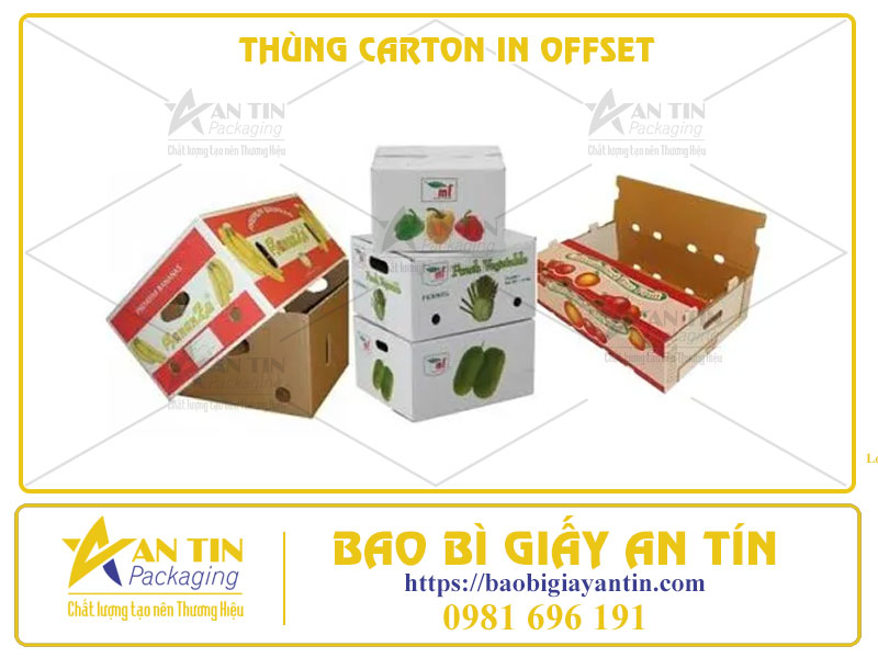 Thùng Carton In Offset Sự Kết Hợp Hoàn Hảo Giữa Độ Bền Và Công Nghệ Mỹ Thuật