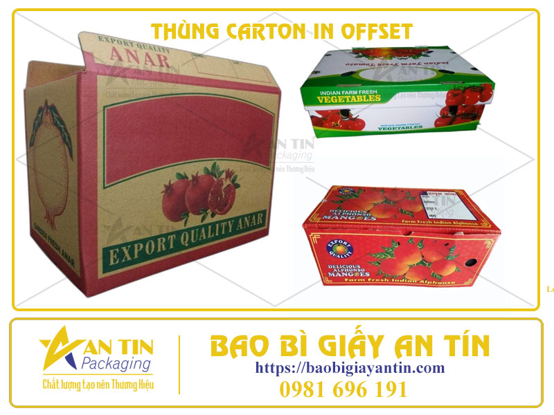 Thùng Carton In Offset Sự Kết Hợp Hoàn Hảo Giữa Độ Bền Và Công Nghệ Mỹ Thuật
