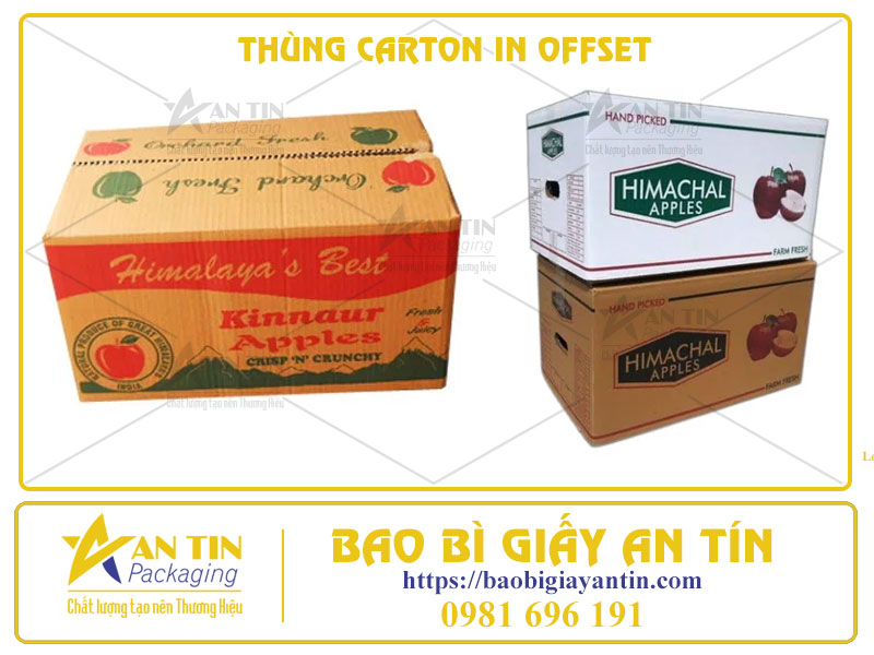 Thùng Carton In Offset Sự Kết Hợp Hoàn Hảo Giữa Độ Bền Và Công Nghệ Mỹ Thuật