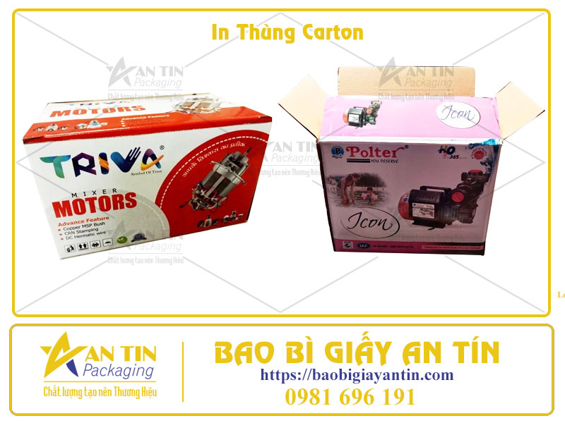 Thùng Carton In Offset Và Giải Pháp Thay Thế Giá Tốt Hơn