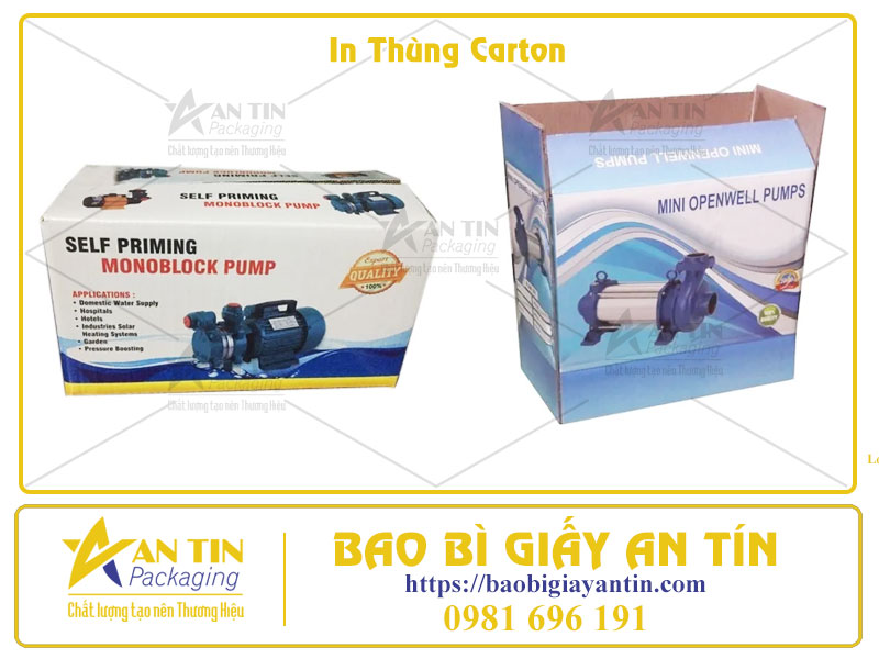 Thùng Carton In Offset Và Giải Pháp Thay Thế Giá Tốt Hơn