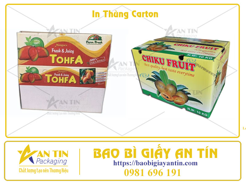 Thùng Carton In Offset Và Giải Pháp Thay Thế Giá Tốt Hơn