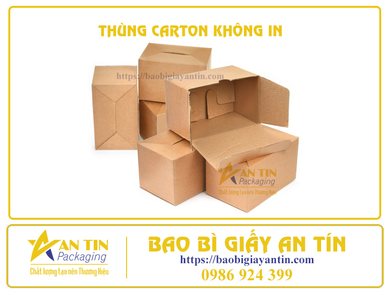 Thùng carton không in An Tín