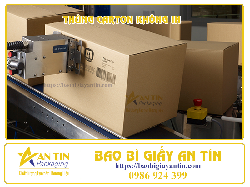 Thùng carton không in đóng hàng đa dạng phổ thông