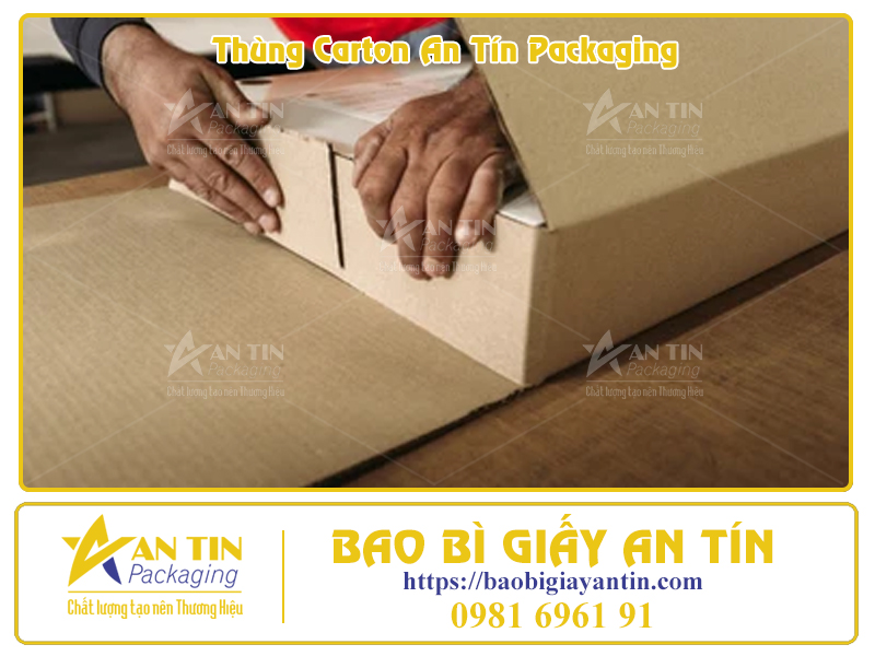 Thùng Carton Lớn Giá Cả Cực Kỳ Hấp Dẫn Thùng Carton Lớn Giá Cả Cực Kỳ Hấp Dẫn