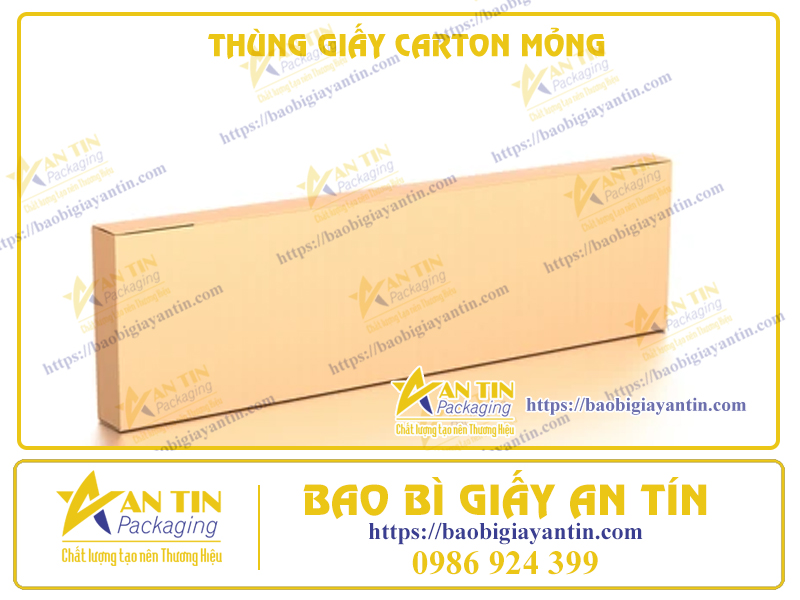 Thùng carton mỏng An Tín