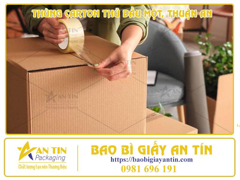Thùng Carton Thủ Dầu Một, Thuận An - In Ấn Theo Yêu Cầu, Giao Hàng Tận Nơi