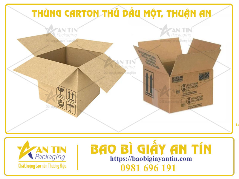 Thùng Carton Thủ Dầu Một, Thuận An - In Ấn Theo Yêu Cầu, Giao Hàng Tận Nơi