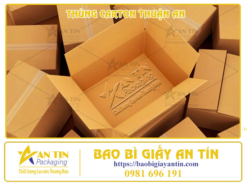 Thùng Carton Thuận An: Đối Tác Đáng Tin Cậy Cho Doanh Nhiệp