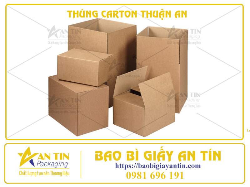 Thùng Carton Thuận An: Đối Tác Đáng Tin Cậy Cho Doanh Nhiệp