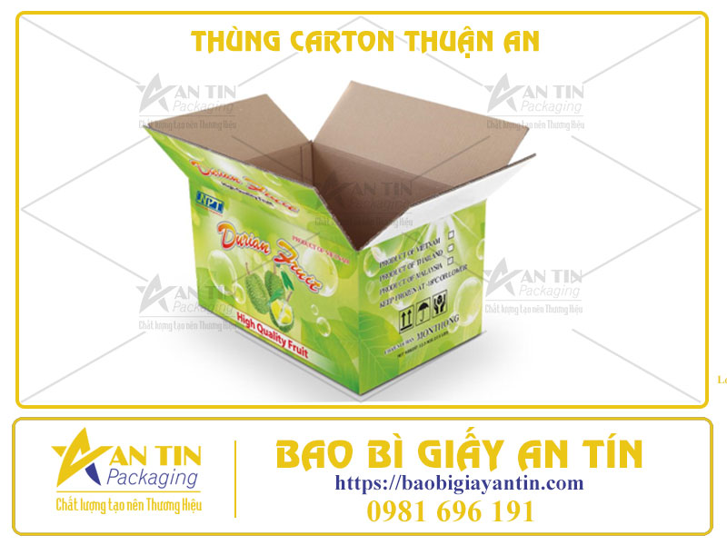 Thùng Carton Thuận An - Đón Đầu Xu Hướng Năm 2024, Nâng Tầm Đẳng Cấp Thương Hiệu