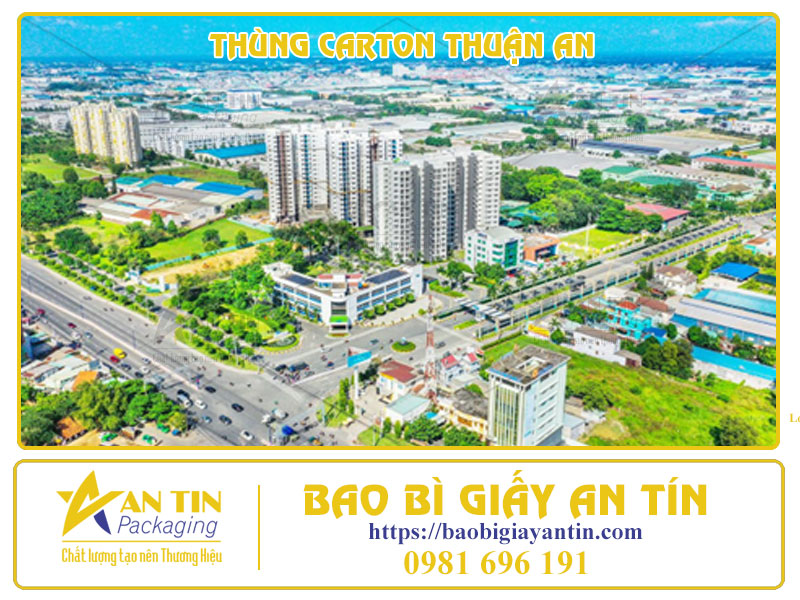 Thùng Carton Thuận An - Đón Đầu Xu Hướng Năm 2024, Nâng Tầm Đẳng Cấp Thương Hiệu