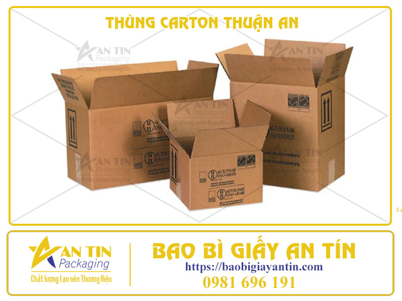Thùng Carton Thuận An - Đón Đầu Xu Hướng Năm 2024, Nâng Tầm Đẳng Cấp Thương Hiệu