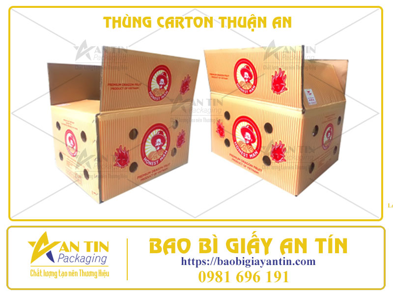 Thùng Carton Thuận An - Đón Đầu Xu Hướng Năm 2024, Nâng Tầm Đẳng Cấp Thương Hiệu