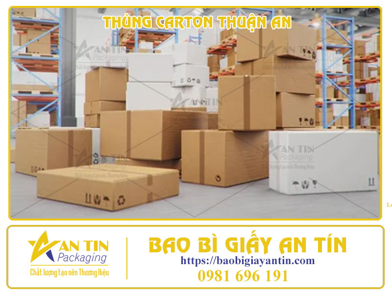Thùng Carton Thuận An - Đón Đầu Xu Hướng Năm 2024, Nâng Tầm Đẳng Cấp Thương Hiệu