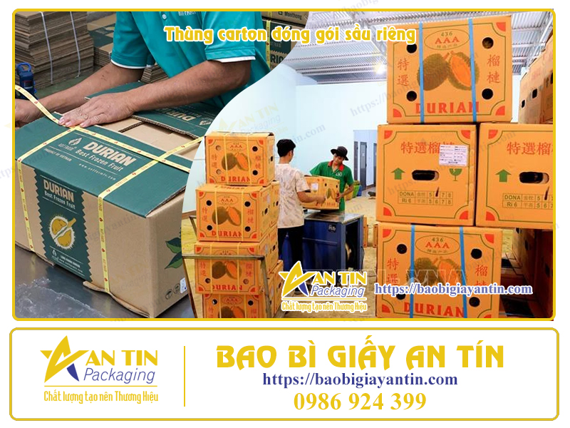 Thùng đóng gói Sầu Riêng Xuất Khẩu Thùng đóng gói Sầu Riêng Xuất Khẩu