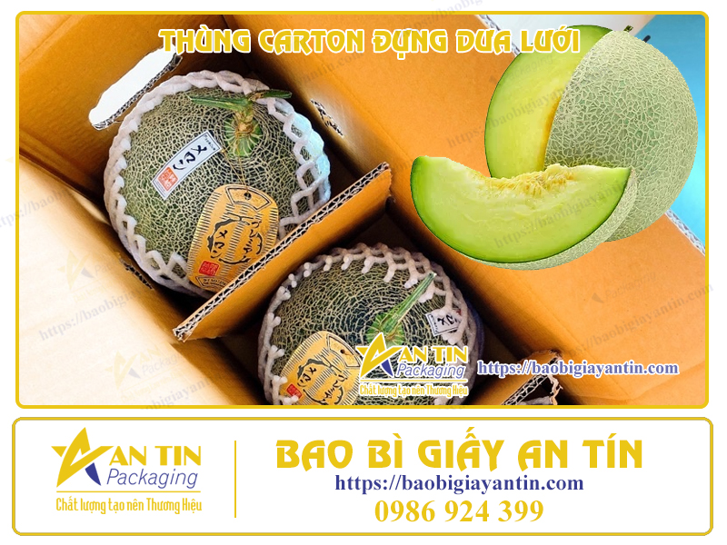 Thùng giấy các tông đóng gói dưa lưới Thùng giấy các tông đóng gói dưa lưới