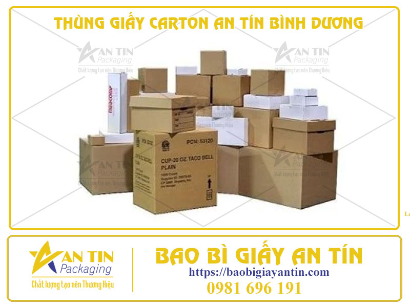 Thùng Giấy Carton An Tín Bình Dương: Đối Tác Lý Tưởng Cho Mọi Cá Nhân, Doanh Nghiệp