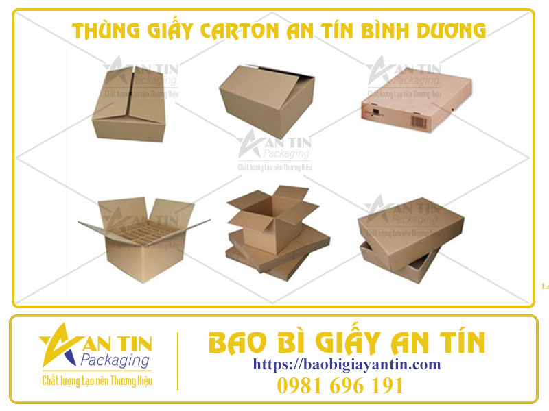 Thùng Giấy Carton An Tín Bình Dương: Đối Tác Lý Tưởng Cho Mọi Cá Nhân, Doanh Nghiệp