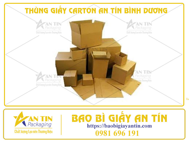 Thùng Giấy Carton An Tín Bình Dương: Đối Tác Lý Tưởng Cho Mọi Cá Nhân, Doanh Nghiệp