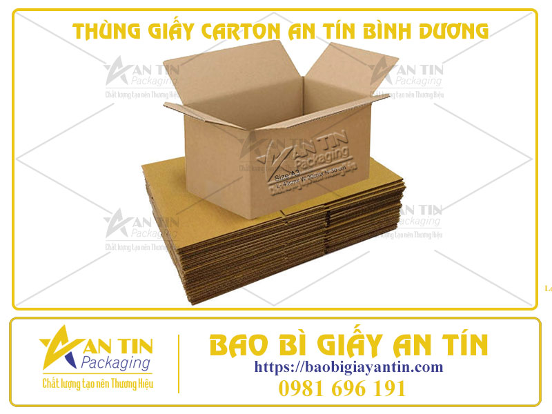 Thùng Giấy Carton An Tín Bình Dương: Đối Tác Lý Tưởng Cho Mọi Cá Nhân, Doanh Nghiệp