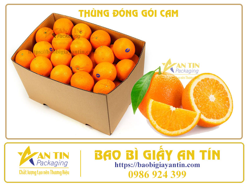 Thùng giấy carton đóng gói cam