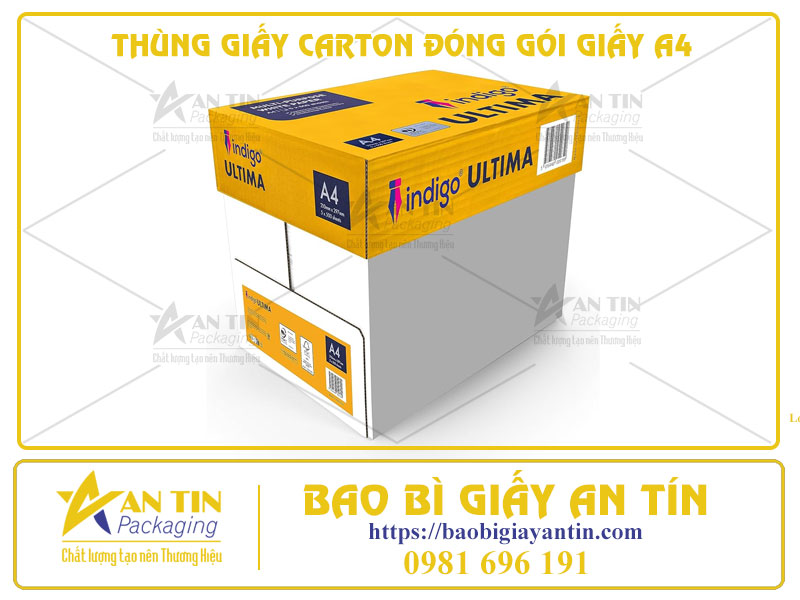 Thùng Giấy Carton Đóng Gói Giấy A4 - Bảo Vệ Sản Phẩm, Gìn Giữ Chất Lượng