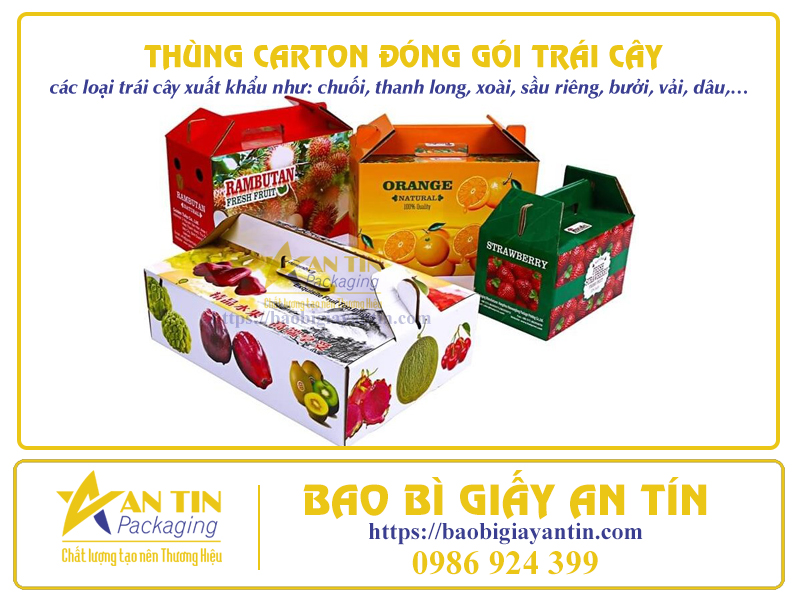 Thùng giấy carton đóng gói trái cây