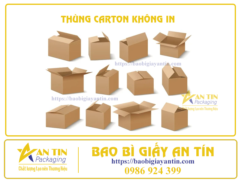 Thùng carton không in AnTin Packaging