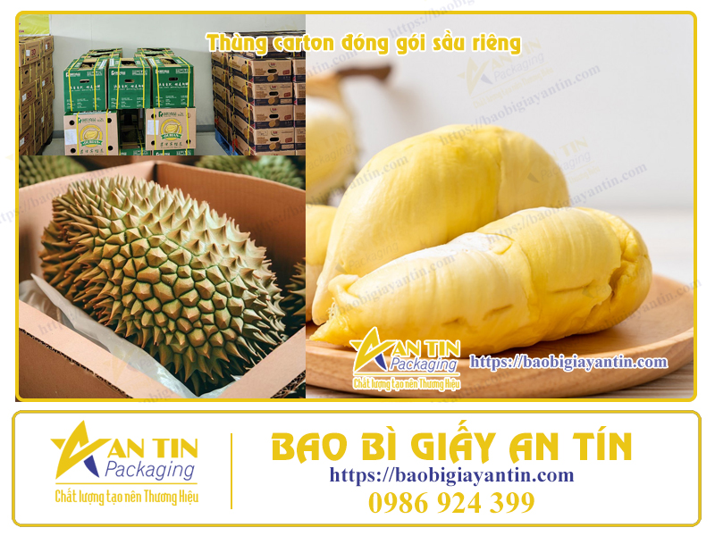 Thùng giấy đóng gói Sầu Riêng Thùng giấy đóng gói Sầu Riêng