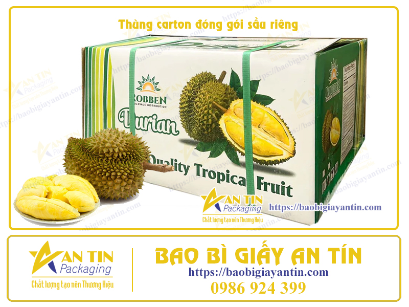 Thùng giấy đóng gói Sầu riêng An Tín Thùng giấy đóng gói Sầu riêng An Tín