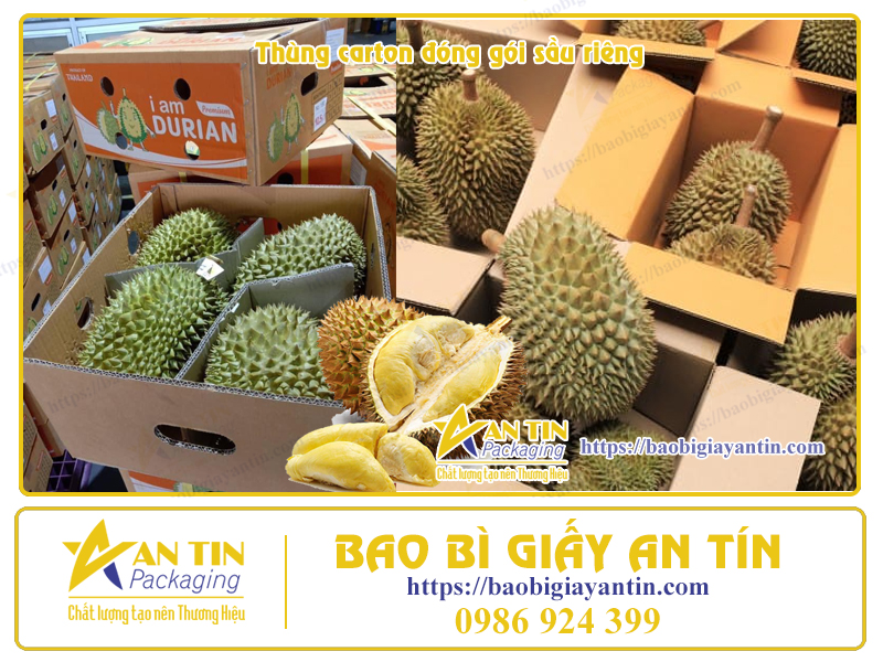 Thùng giấy đóng gói sầu riêng Thùng giấy đóng gói sầu riêng