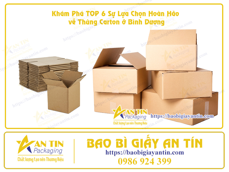 Thùng Hộp Carton tại Bình Dương Thùng Hộp Carton tại Bình Dương